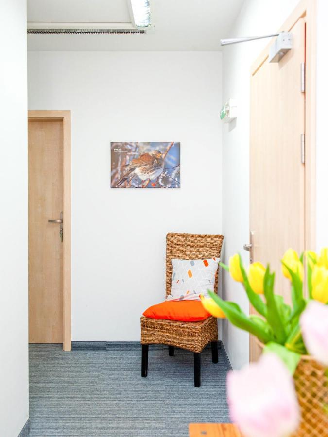 Gosciniec Ptasi Zaulek Bed & Breakfast Niechorze Dış mekan fotoğraf